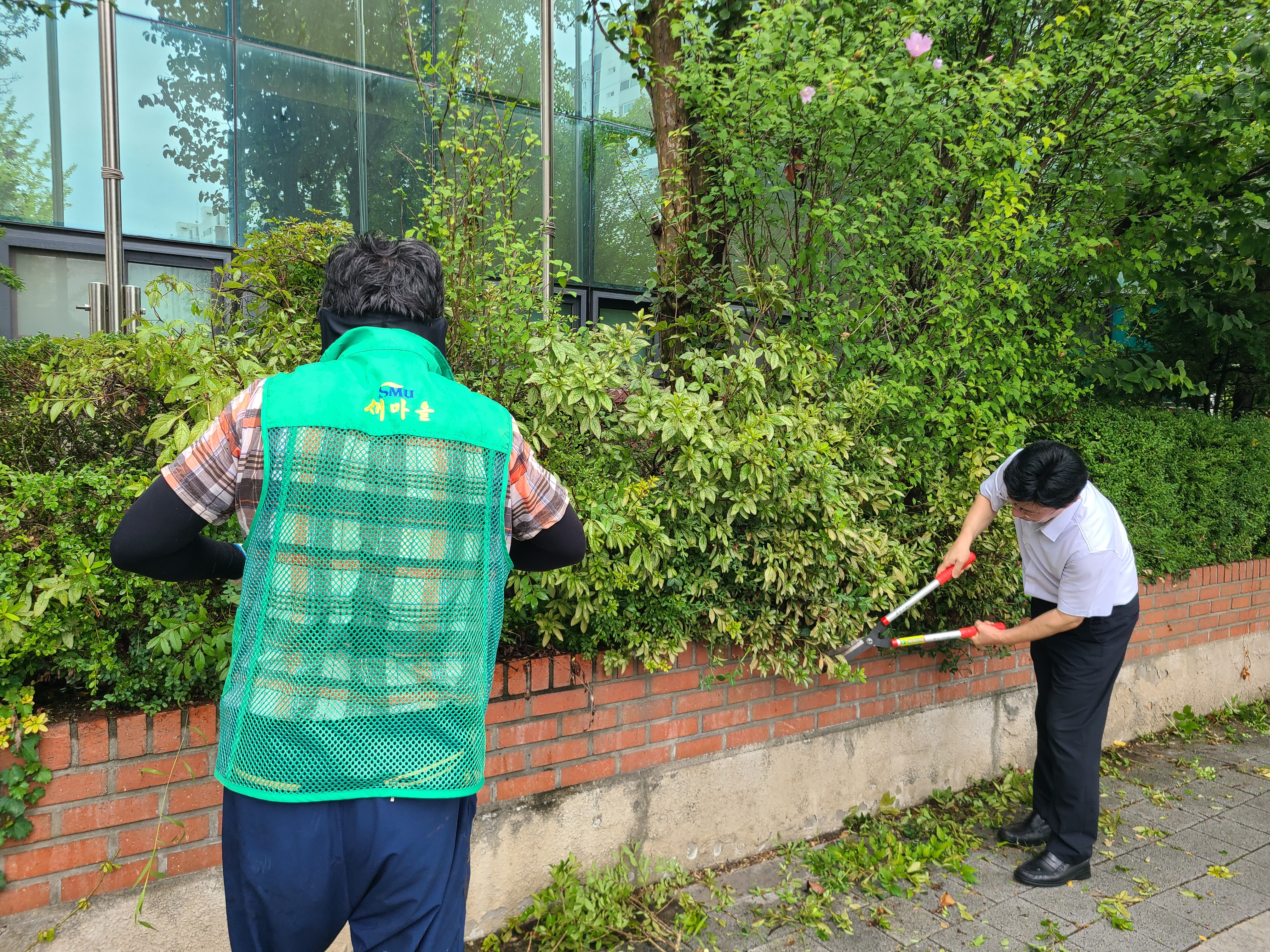 연수구 연수3동 새마을협의회는 지난 9일 동 청사 주변에서 쾌적한 도시환경 조성을 위한 조경수 정비 봉사활동을 실시했다